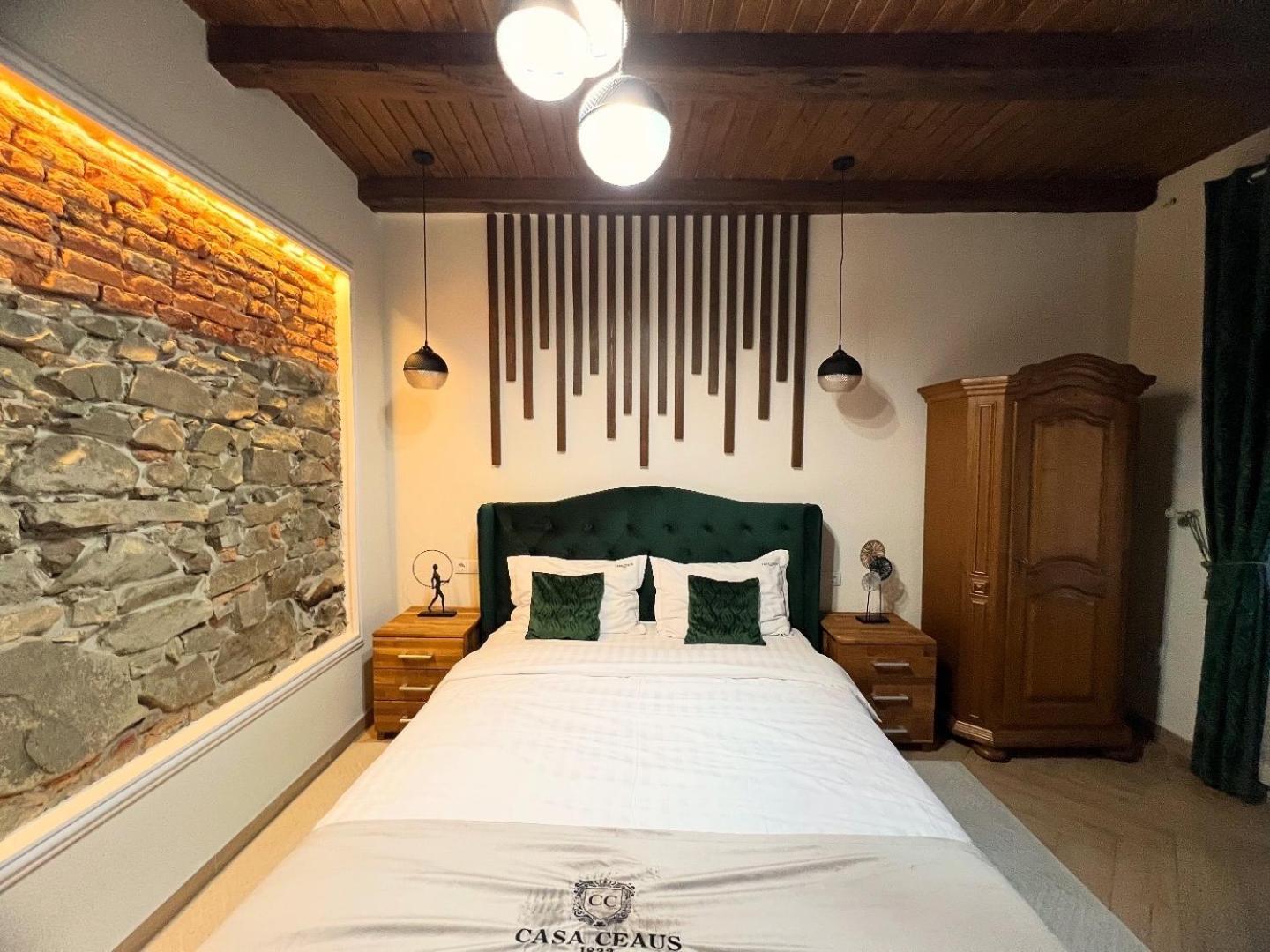 Casa Ceaus Hébergement de vacances Baia Sprie